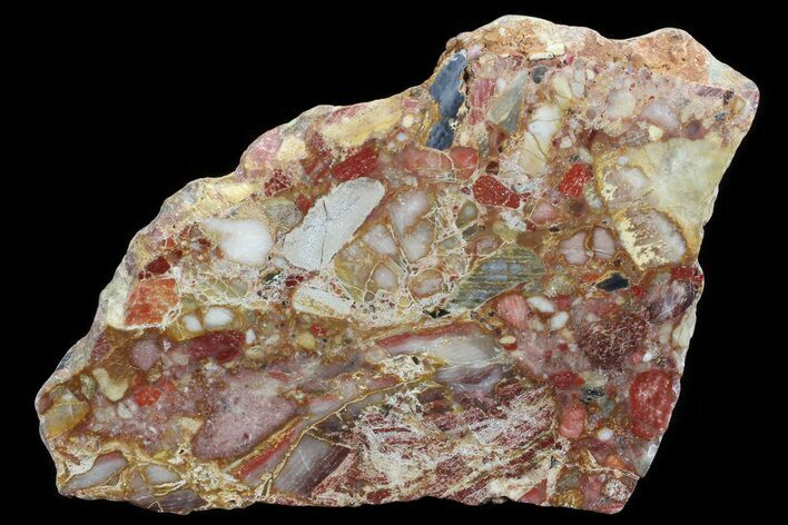 Polished Chert Breccia Section - Western Australia #65432